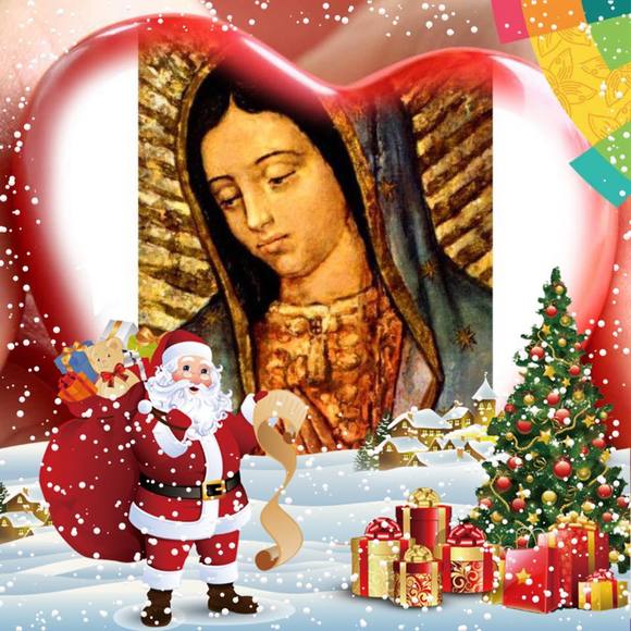 Meet your Posher, Chapis - Picture 1 of 1